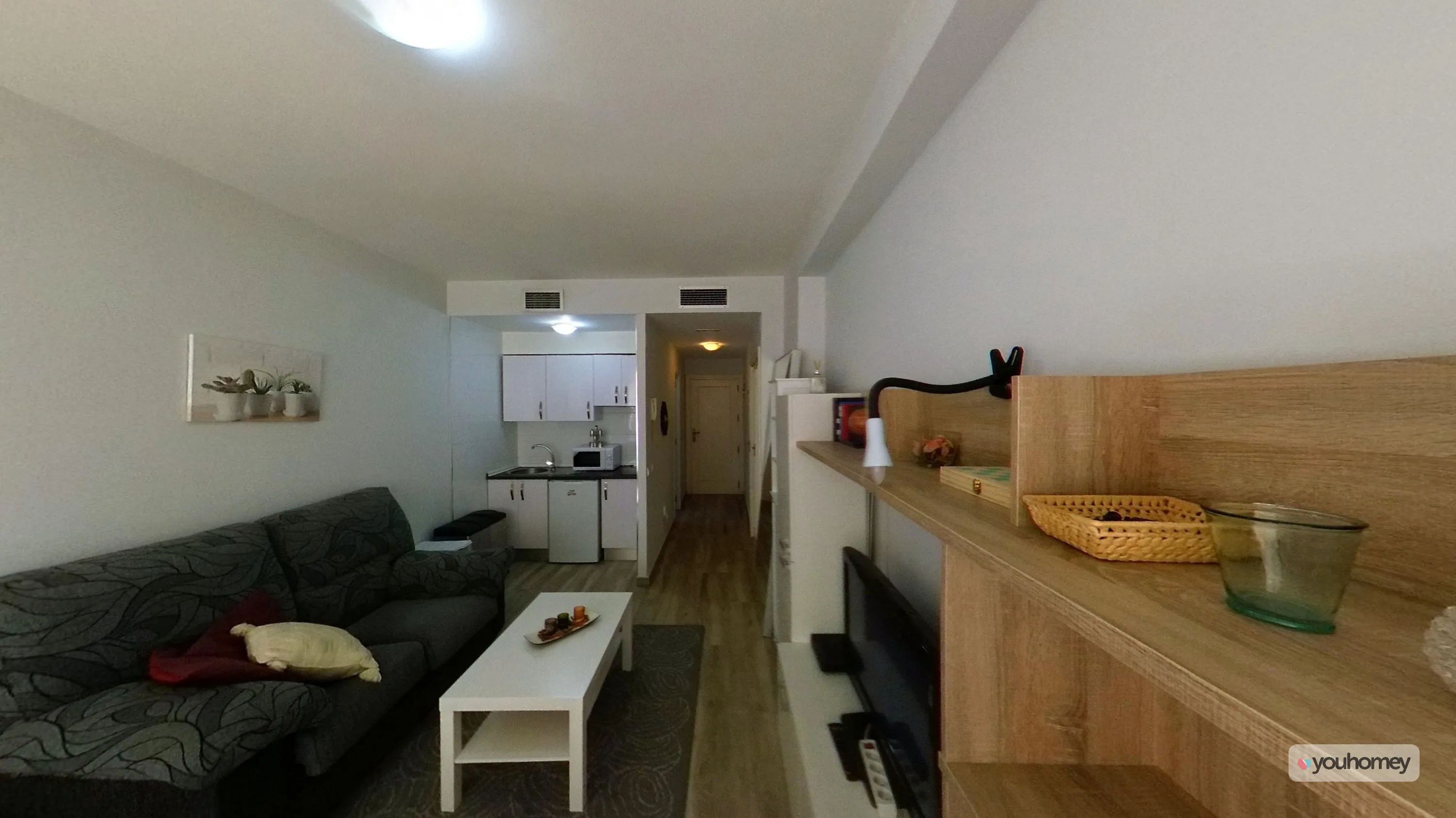 Property in Palacio — photo 3