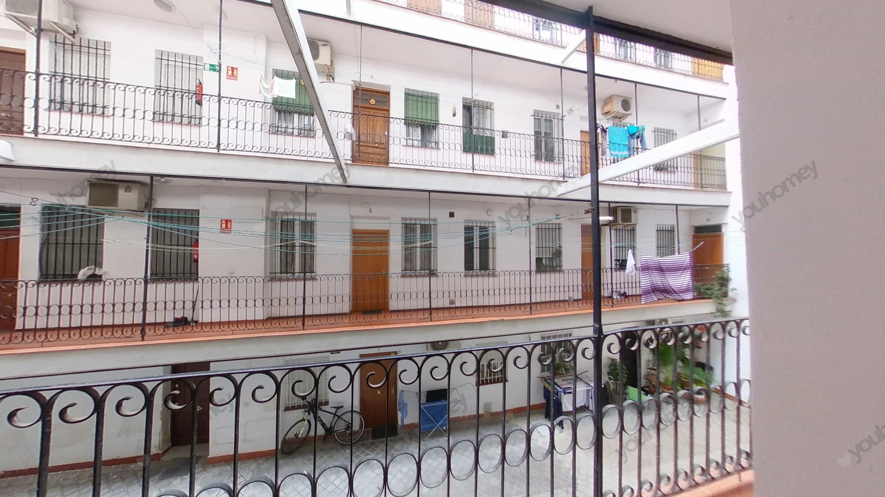 Property in Palos de Moguer — photo 3
